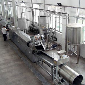 油炸设备案例